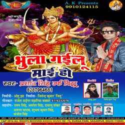 Bhula Gayilu Mayi Ho songs Bhula Gayilu Mayi Ho songs