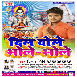 Dil Bole Bhole Bhole songs Dil Bole Bhole Bhole songs