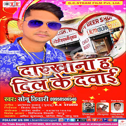 Daaru Khana Ha Dil Ke Dawai songs Daaru Khana Ha Dil Ke Dawai songs
