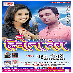 Ye Deewana Tera songs Ye Deewana Tera songs