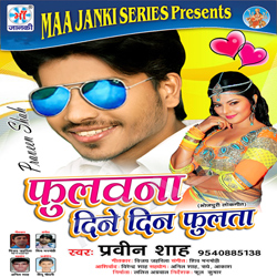 Fulavana Dine Din Fulata songs Fulavana Dine Din Fulata songs