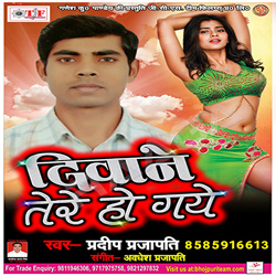 Deewane Tere Ho Gaye songs Deewane Tere Ho Gaye songs