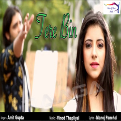 Tere Bin songs Tere Bin songs