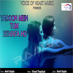 Yadoon Mein Tum Bewafa Ho songs Yadoon Mein Tum Bewafa Ho songs