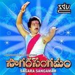 Saagara Sangamam songs Saagara Sangamam songs