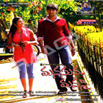 Manasuna Manasai songs Manasuna Manasai songs