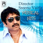 Director Sreenu Vaitla Musical Hits songs Director Sreenu Vaitla Musical Hits songs