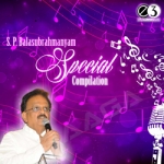 S. P. Balasubrahmanyam Special Compilation songs S. P. Balasubrahmanyam Special Compilation songs