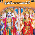 Srimannarayana Hari - Rahul Nambiar songs Srimannarayana Hari - Rahul Nambiar songs