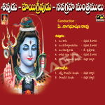 Shiva Hayagriva Chantings songs Shiva Hayagriva Chantings songs