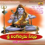 Sri Linga Swamy Sannidhi songs Sri Linga Swamy Sannidhi songs