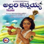 Allarikannayya songs Allarikannayya songs
