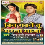 Bin Gawane Tu Marala Maja songs Bin Gawane Tu Marala Maja songs