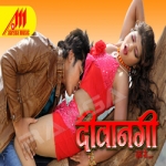 Deewangi Hadh Se songs Deewangi Hadh Se songs