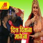 Dil Diwana Mane Na songs Dil Diwana Mane Na songs