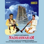 Carnatic Instrumental - Nadhaswaram songs Carnatic Instrumental - Nadhaswaram songs