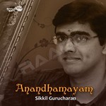 Anandhamayam songs Anandhamayam songs