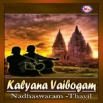 Kalyana Vaibogham (Ambient) songs Kalyana Vaibogham (Ambient) songs