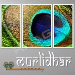 Murlidhar songs Murlidhar songs