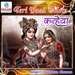Teri Yaad Mein Kanhaiya songs Teri Yaad Mein Kanhaiya songs