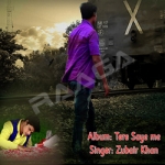 Tere Saye Me songs Tere Saye Me songs