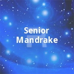 Senior Mandrake songs Senior Mandrake songs