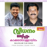 Sthreedhanam songs Sthreedhanam songs