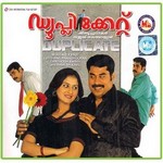 Duplicate songs Duplicate songs