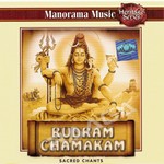 Rudram Chamakam songs Rudram Chamakam songs