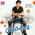 Nee Entethalle (Mappila Songs) songs Nee Entethalle (Mappila Songs) songs