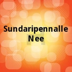 Sundaripennalle Nee songs Sundaripennalle Nee songs