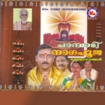 Pambadi Nagapooja songs Pambadi Nagapooja songs