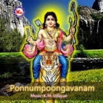 Ponnumpoongavanam songs Ponnumpoongavanam songs