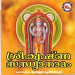 Sree Krishna Sandhyanamam songs Sree Krishna Sandhyanamam songs