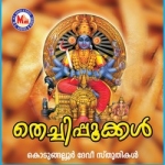 Thechipookkal songs Thechipookkal songs