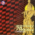 Vrindavana Geetham songs Vrindavana Geetham songs