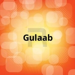 Gulaab songs Gulaab songs