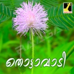 Thottavadi songs Thottavadi songs
