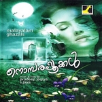 Nombarapookal songs Nombarapookal songs