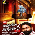 Valayil Veena Kilikal songs Valayil Veena Kilikal songs