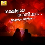 Saghiye Saniya songs Saghiye Saniya songs