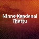 Ninne Kandanal Thattu songs Ninne Kandanal Thattu songs