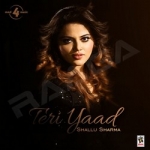 Teri Yaad songs Teri Yaad songs