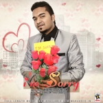 I M Sorry songs I M Sorry songs
