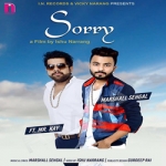 Sorry songs Sorry songs