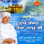 Dukh Bhanjan Tera Naam Ji songs Dukh Bhanjan Tera Naam Ji songs