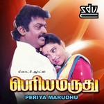 Periya Maruthu songs Periya Maruthu songs