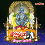 Irumudi songs Irumudi songs