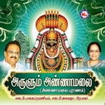 Arulum Annamalai songs Arulum Annamalai songs
