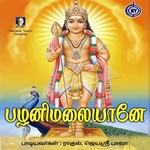 Palanimalaiyanea songs Palanimalaiyanea songs